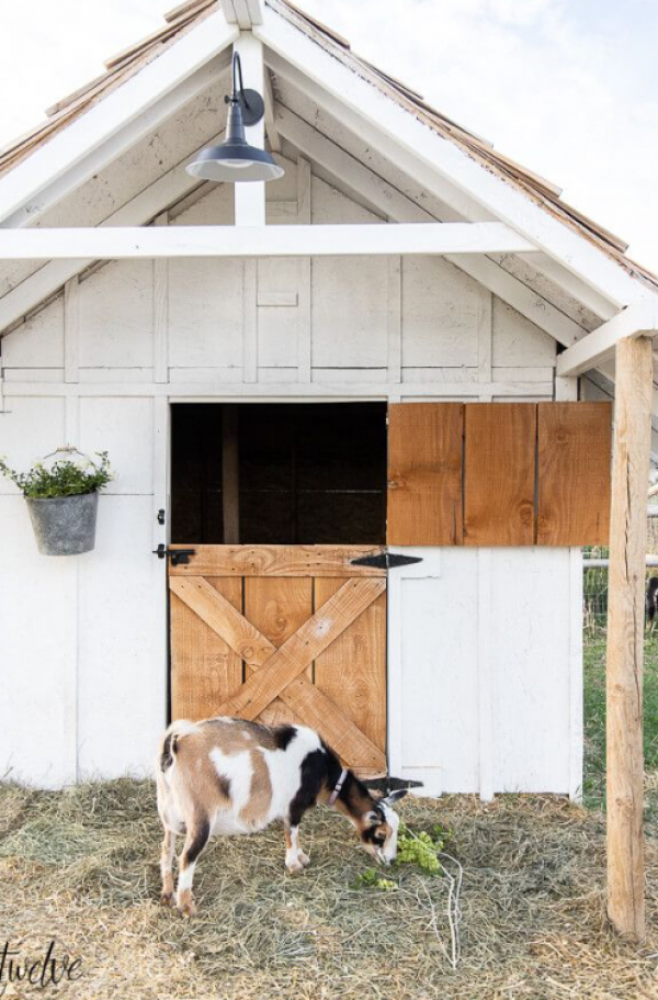 Desain Kandang Kambing Elegan